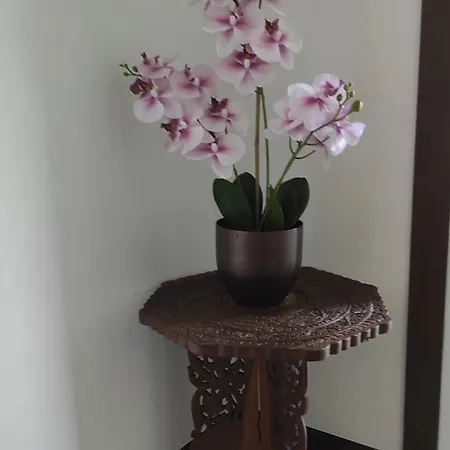 La Casa Di Nonna Mimi * אבאדיה לריאנה